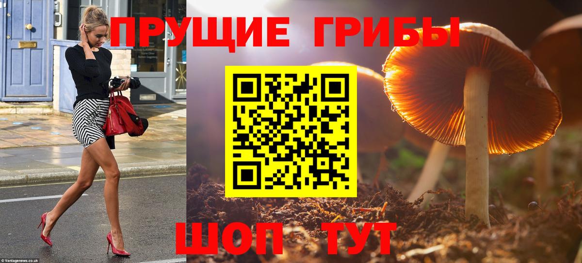 Янаул  Галлюциногенные грибы мицелий  Вход с VPN 
