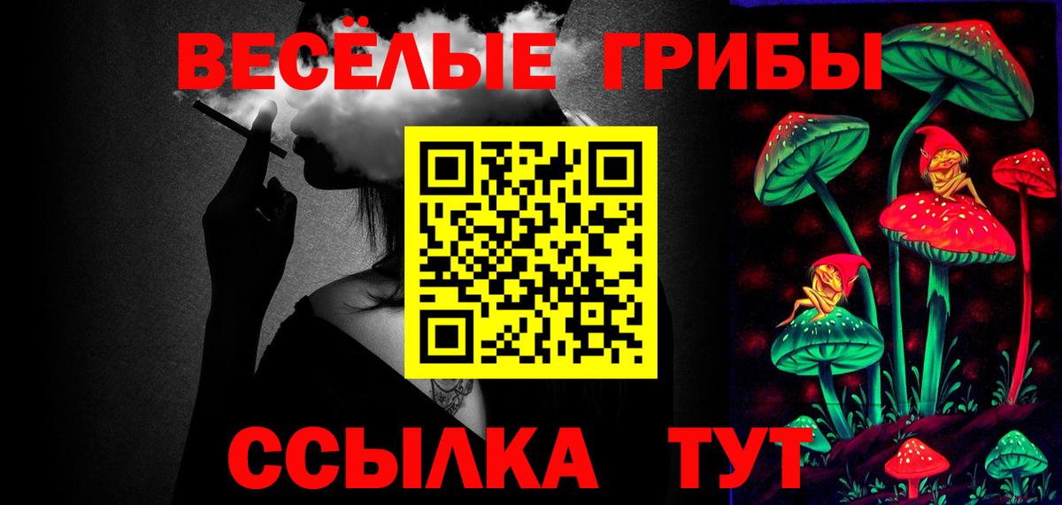 Галлюциногенные грибы Psilocybine cubensis Янаул